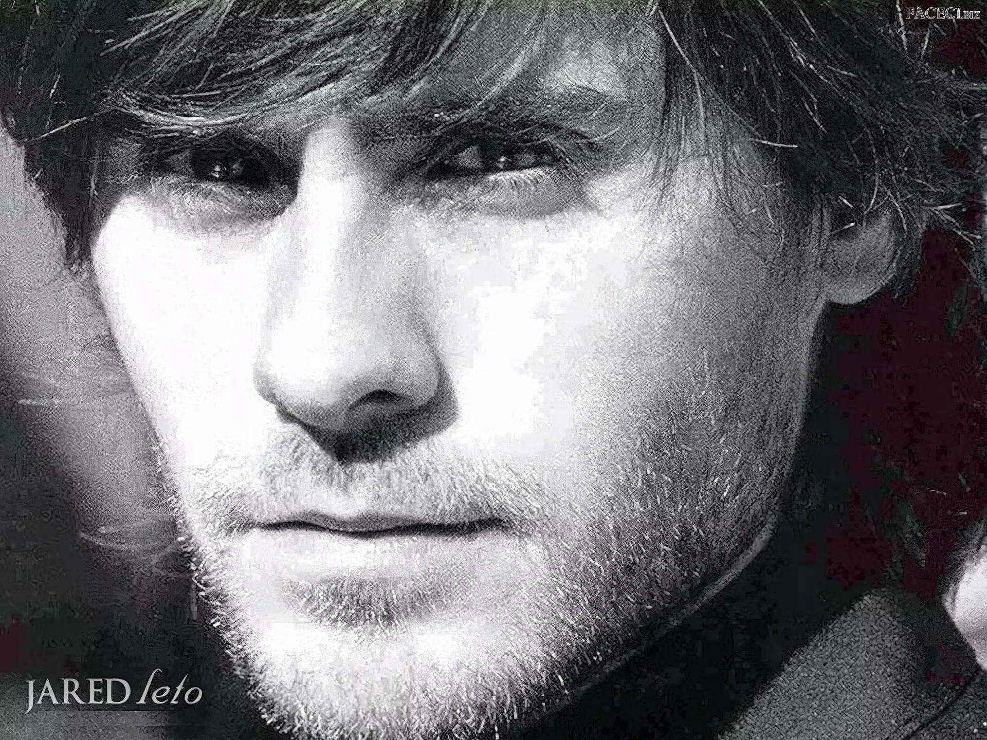 zarost, Jared Leto, grzywka